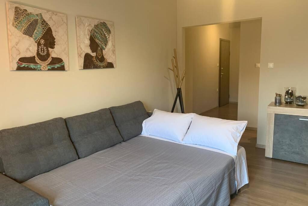 Belajo Central Apartment And Jacuzzi !! Volos Exterior foto